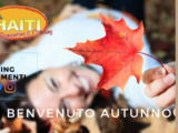 Ricevimento autunnale e servizio di Catering